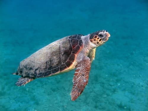 Sodwana Bay, South Africa